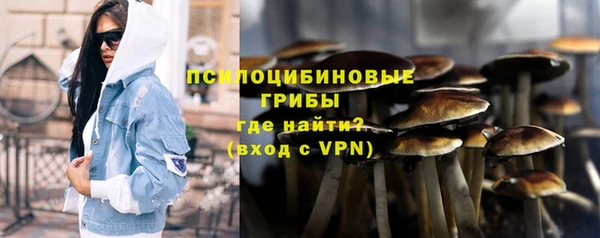 сатива Липки
