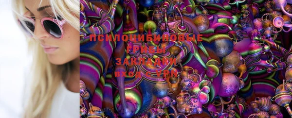 трава Магас