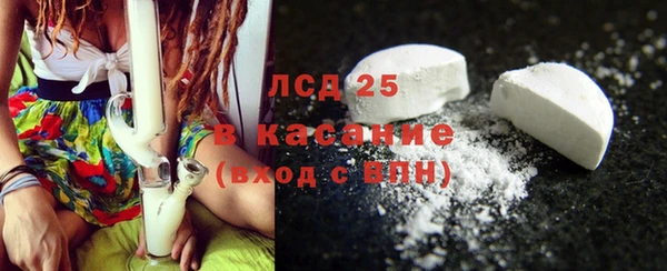 трава Магас