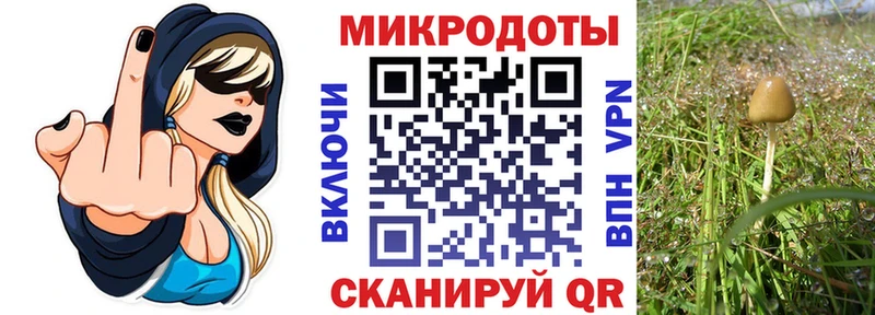 Галлюциногенные грибы ЛСД  Купить где  Жуковка 